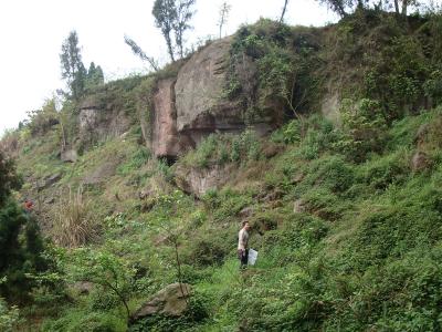 九龍村便民服務(wù)中心工程建設(shè)場地地質(zhì)災(zāi)害危險(xiǎn)性評估